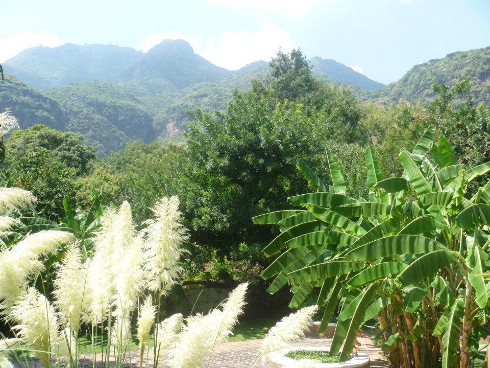 Hotel Boutique Casa De Campo Malinalco Dış mekan fotoğraf